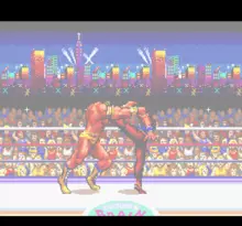 Image n° 1 - screenshots  : Hiryuu no Ken S - Golden Fighter